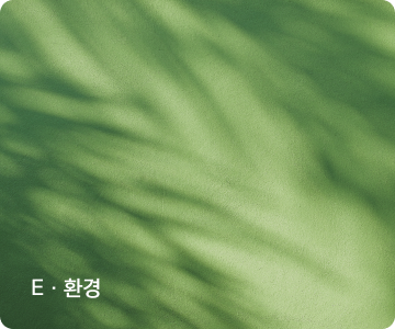 E · 환경